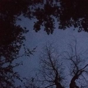 Meet your Posher, Pretty